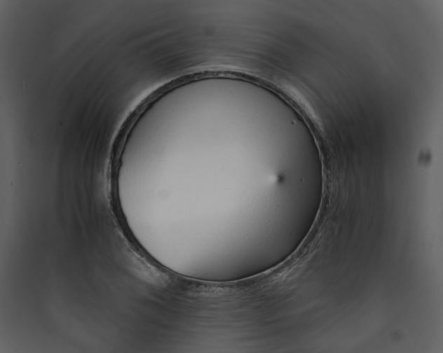 X0000089931076200707131427