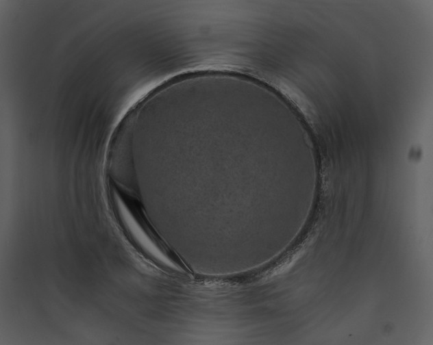 X0000089931077200707131427