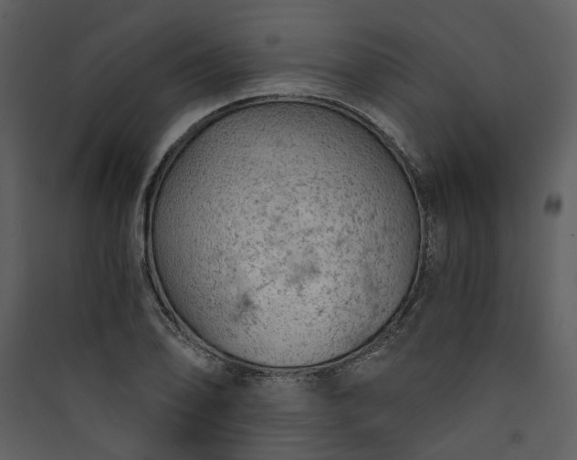 X0000089931078200707131427