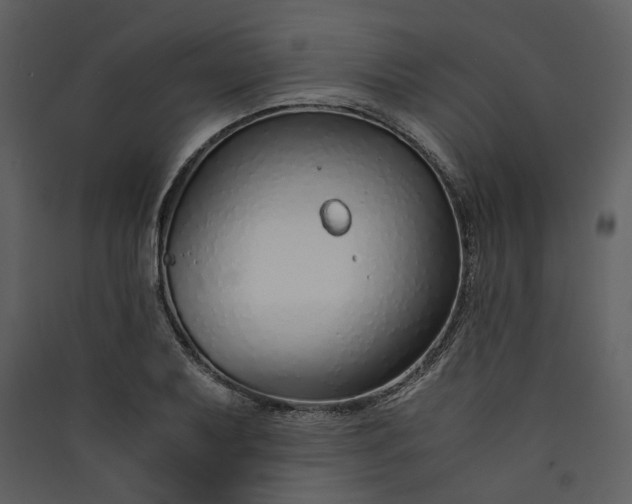 X0000089931079200707131427