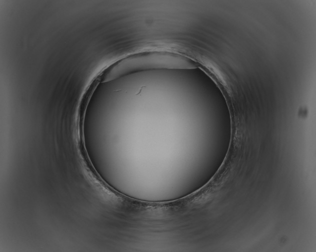 X0000089931080200707131427