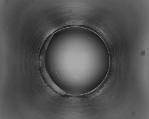 X0000089931081200707131427