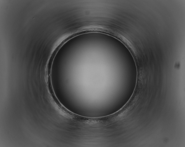 X0000089931082200707131427