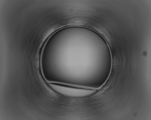 X0000089931083200707131427