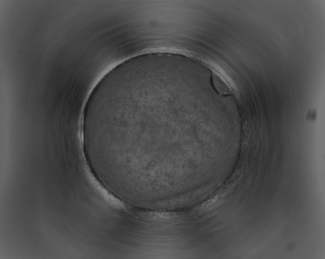 X0000089931084200707131427