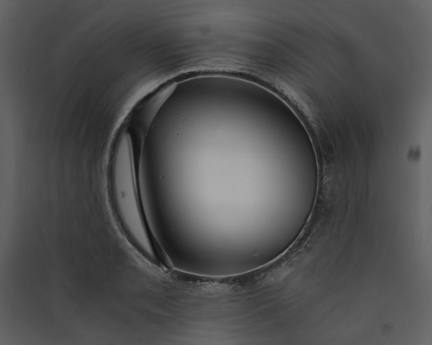 X0000089931085200707131427