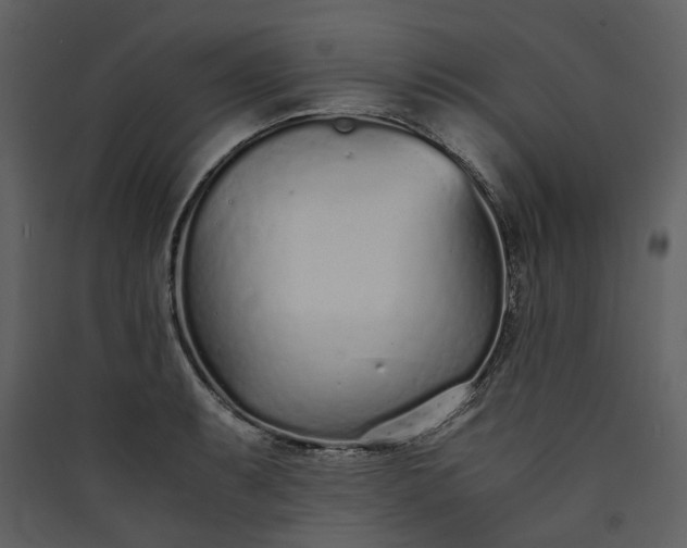 X0000089931087200707131427