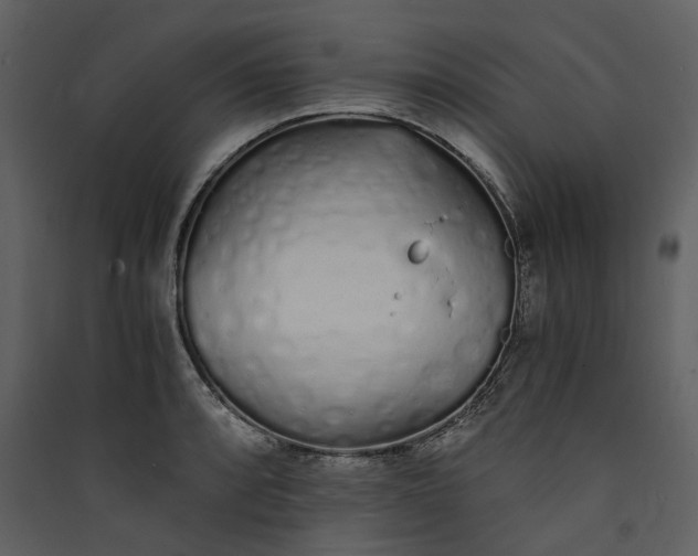 X0000089931088200707131427