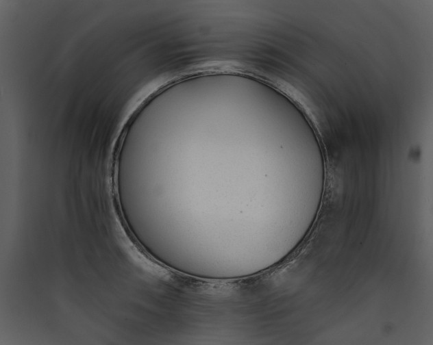 X0000089931090200707131427