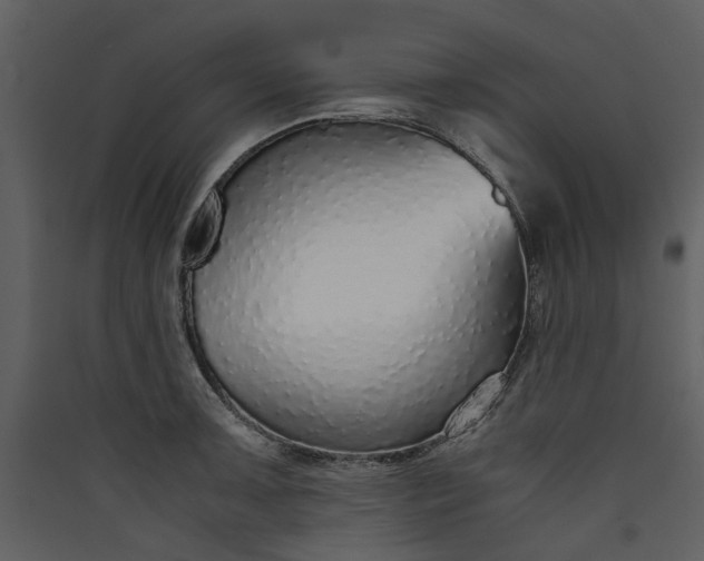 X0000089931091200707131427