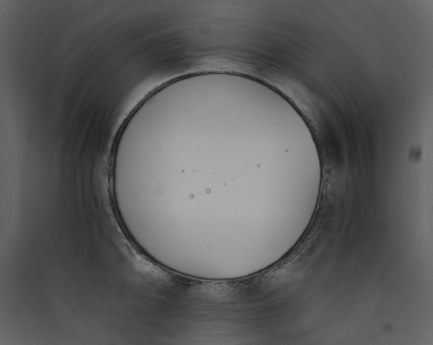 X0000089931094200707131427