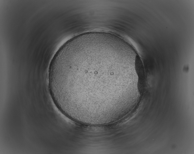 X0000089931095200707131427