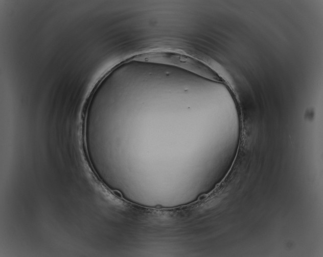 X0000089931096200707131427