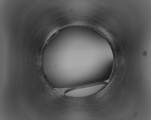 X0000089931097200707131427