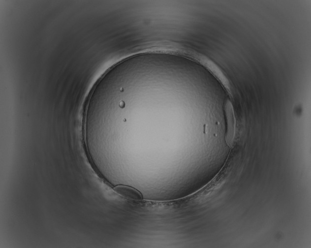 X0000089931099200707131427