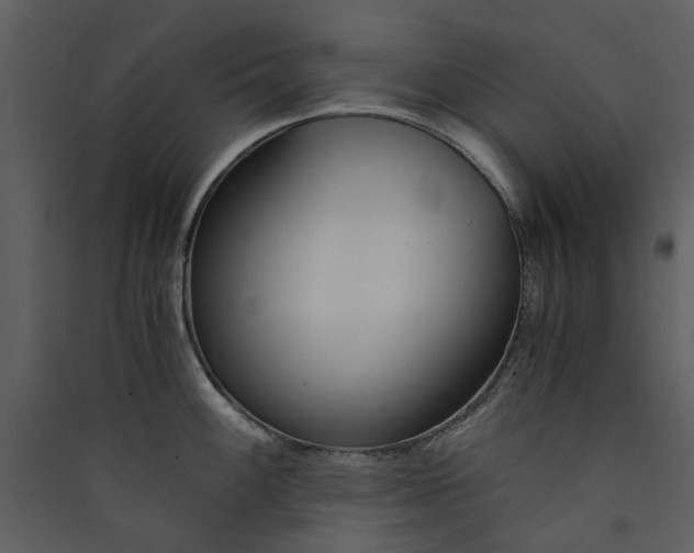 X0000089931100200707131427