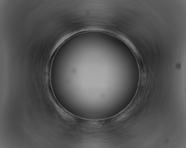 X0000089931101200707131427