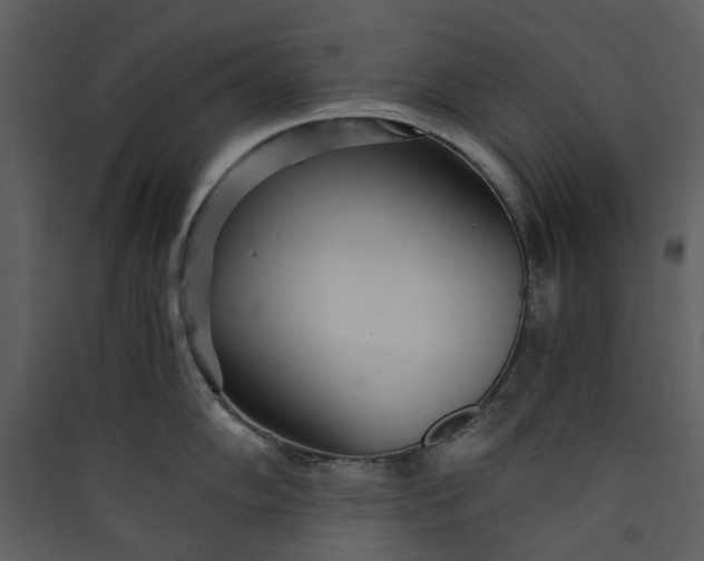 X0000089931102200707131427