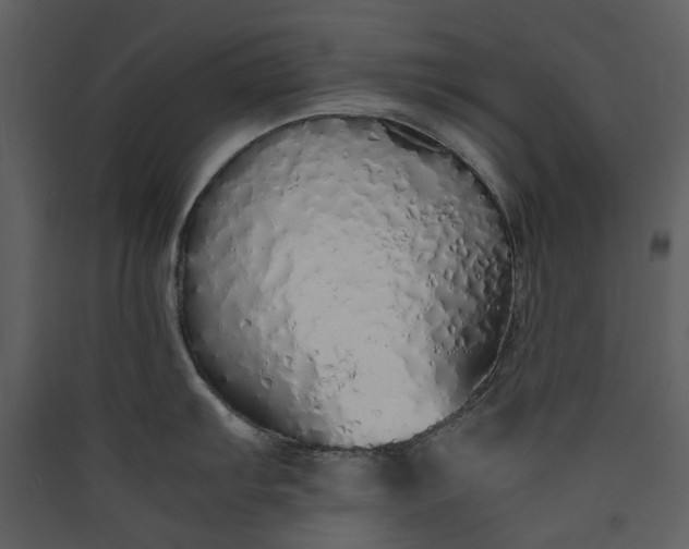 X0000089931103200707131427