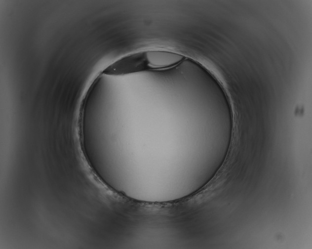 X0000089931104200707131427