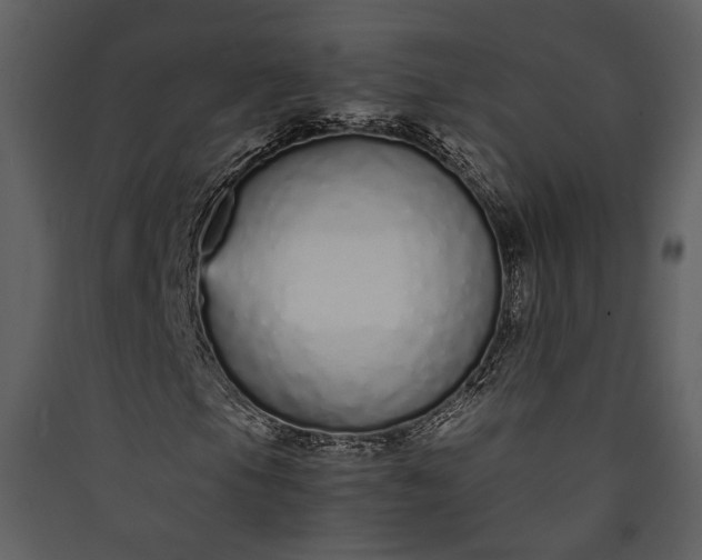 X0000089931105200707131426