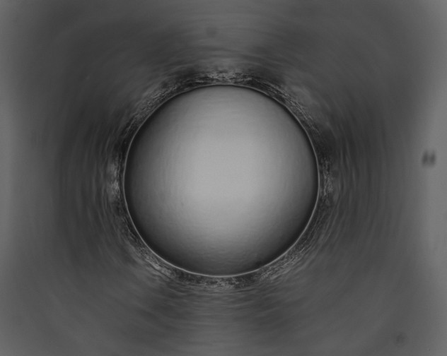 X0000089931106200707131426