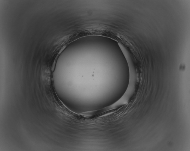 X0000089931108200707131426