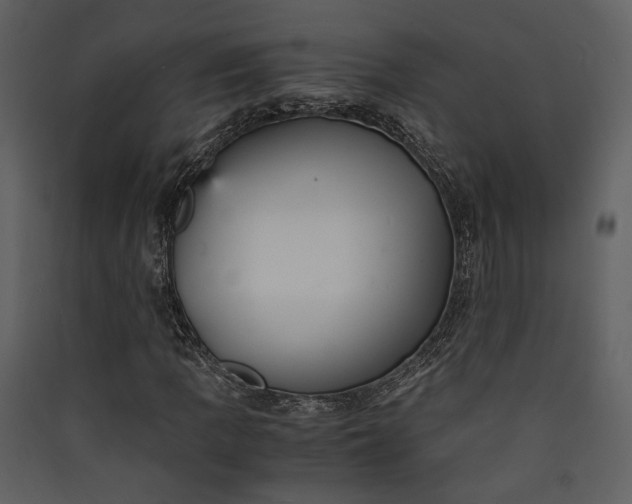 X0000089931109200707131426