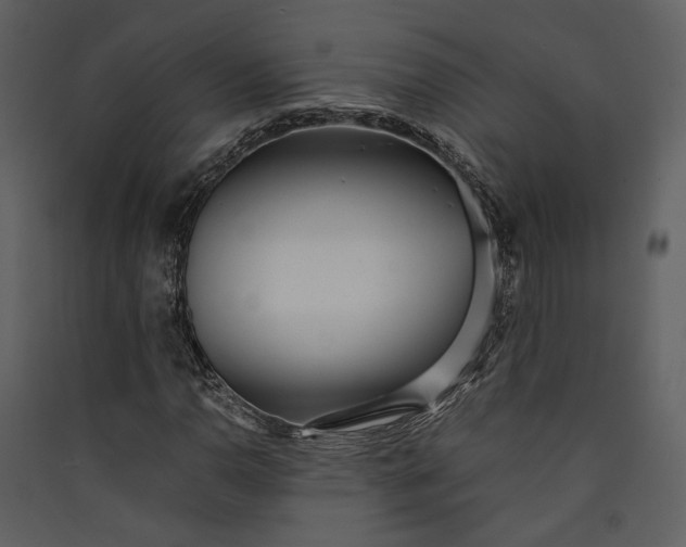 X0000089931110200707131426