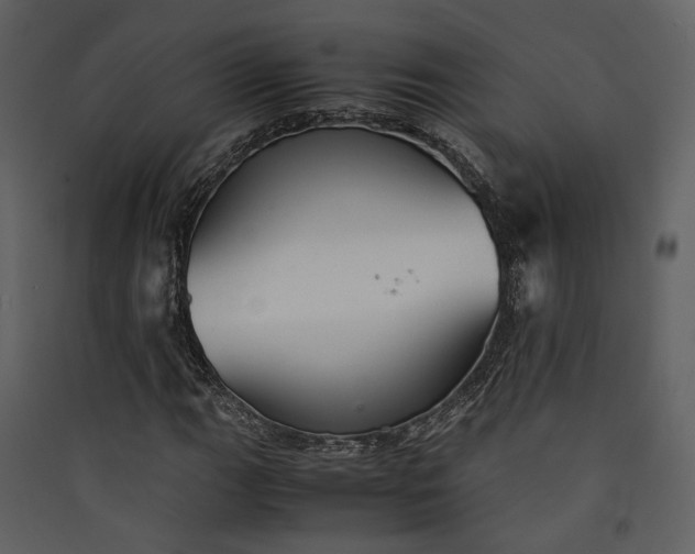 X0000089931111200707131426