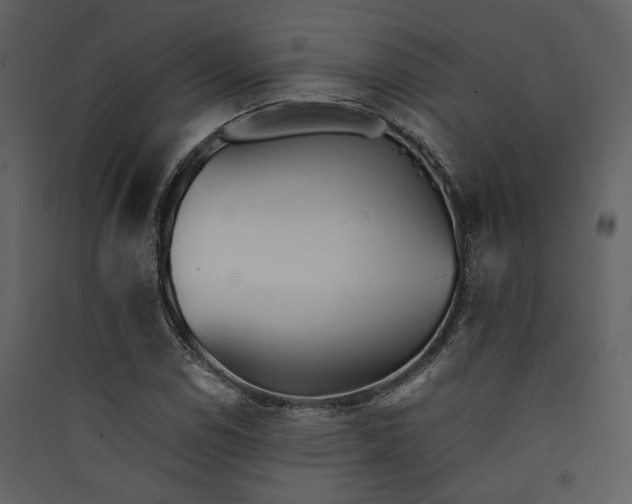 X0000089931114200707131426