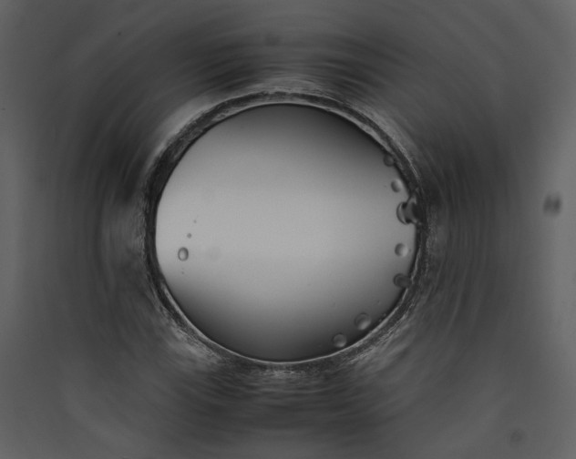 X0000089931115200707131426