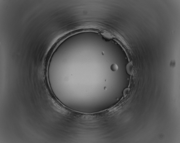 X0000089931116200707131426