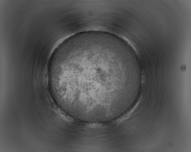 X0000089931117200707131426