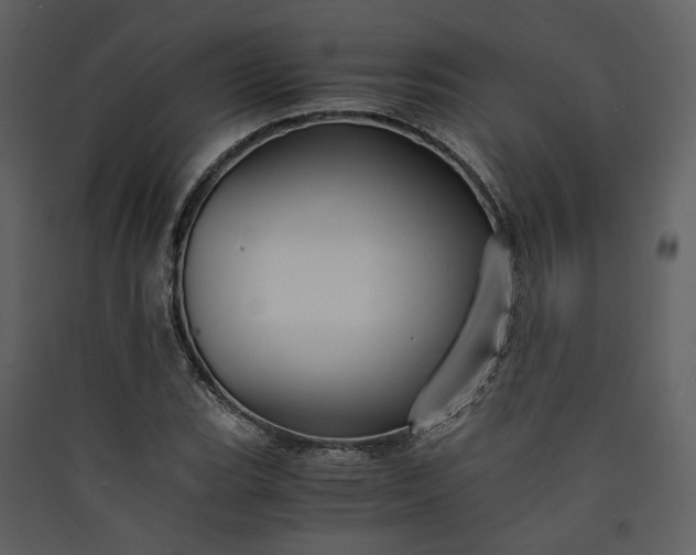 X0000089931119200707131426