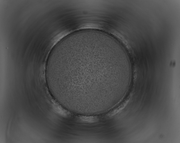 X0000089931121200707131426