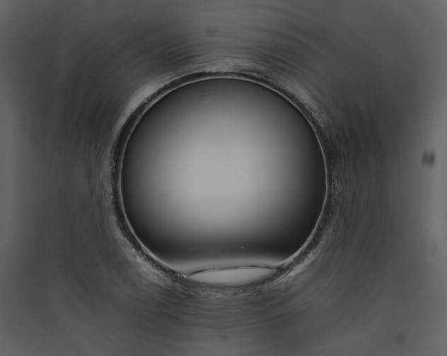 X0000089931122200707131426