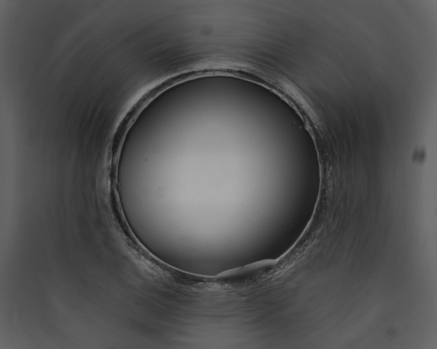 X0000089931124200707131426