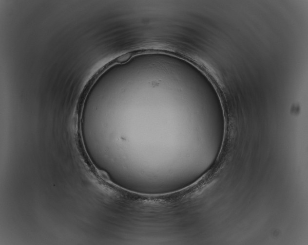 X0000089931125200707131426