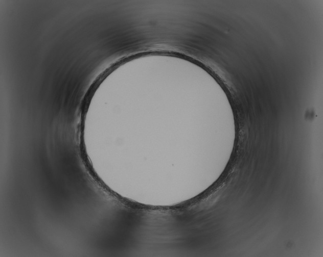 X0000089931126200707131426