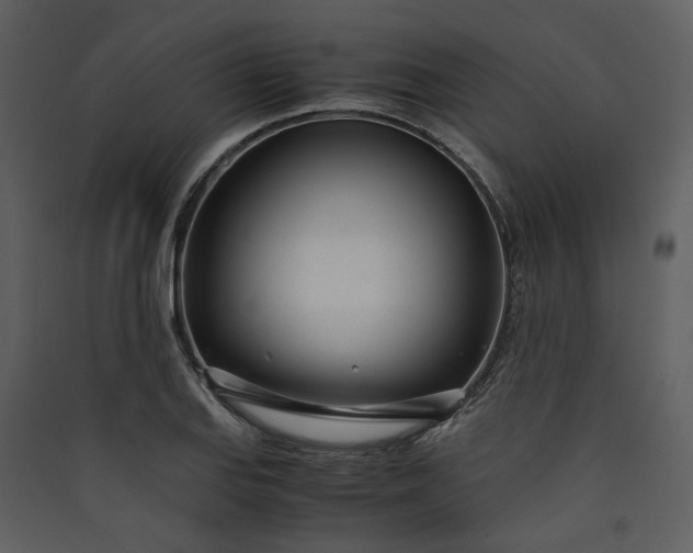 X0000089931127200707131426