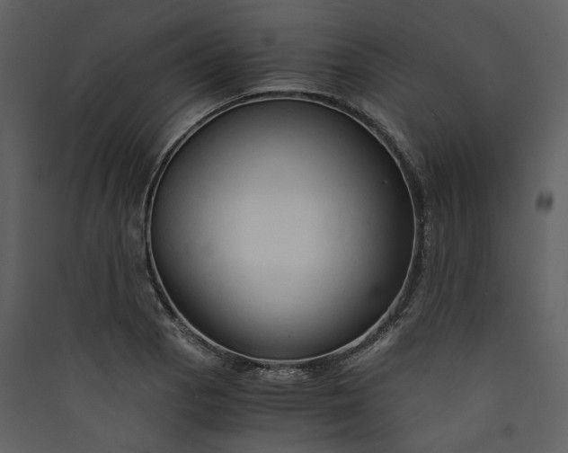 X0000089931129200707131426