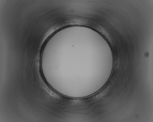 X0000089931130200707131426