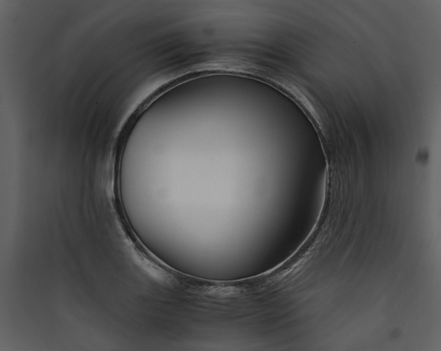 X0000089931131200707131426