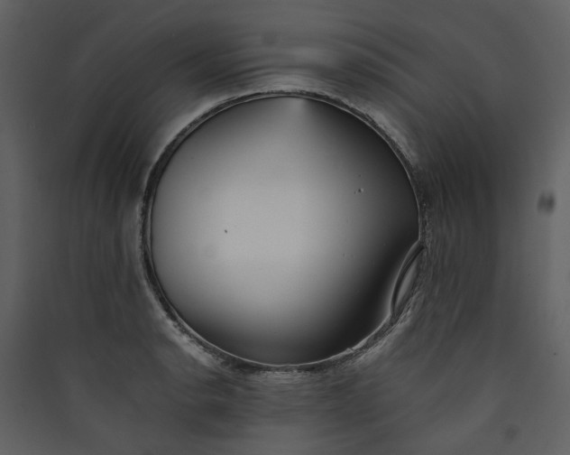 X0000089931134200707131427