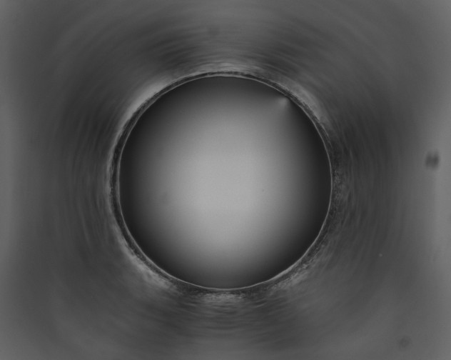 X0000089931135200707131427