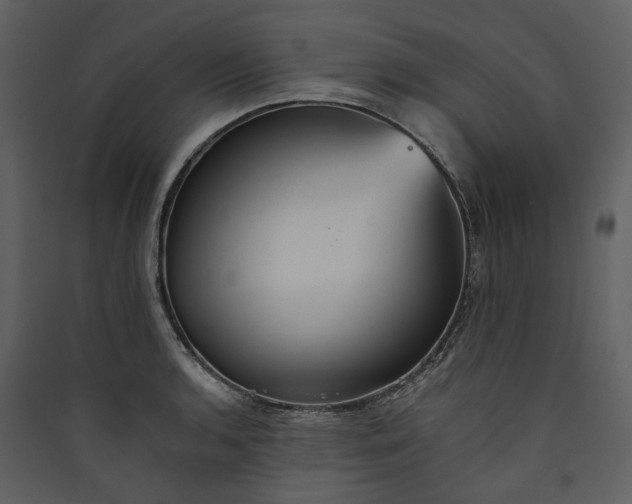 X0000089931136200707131427