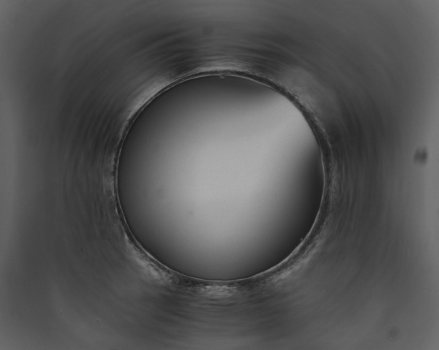 X0000089931137200707131427