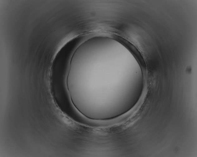 X0000089931138200707131427