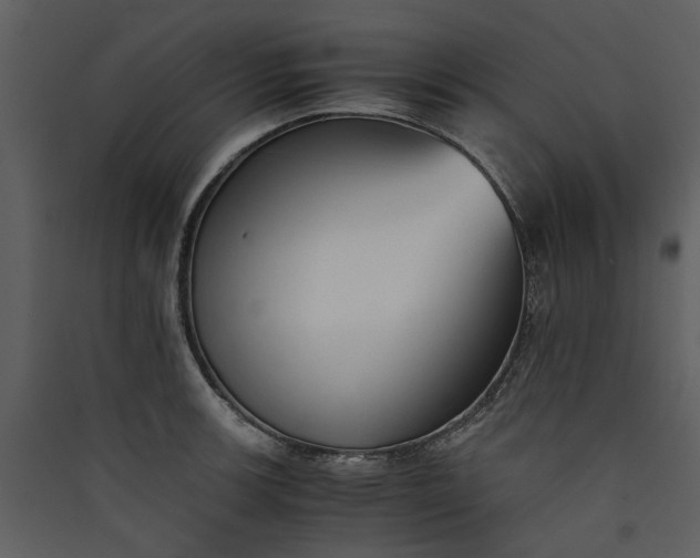 X0000089931139200707131427